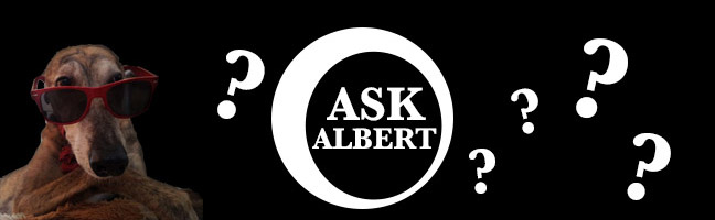 Ask Albert: Episode 1